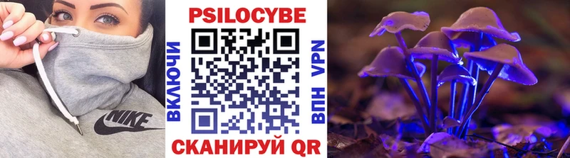 Галлюциногенные грибы Psilocybe  Купить  Болохово 